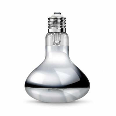 Arcadia 2nd Generation UV Basking Lamp