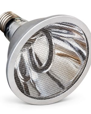 Arcadia Deep Heat Projector