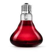 Arcadia Infrared Heat Spot for Terrarium 1