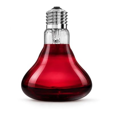 Arcadia Infrared Heat Spot for Terrariums