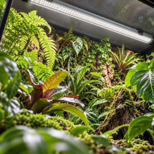 Arcadia JungleDawn LED Bar