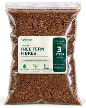 Biotopo tree fern litter for Terrariums