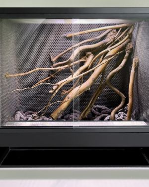 Mini Ecosystem Canopy
