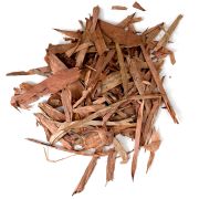 Colombian Guadua leaves 1