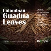 Colombian Guadua leaves