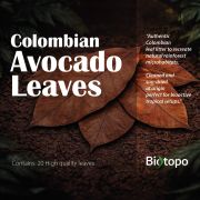 Colombian avocado leaves