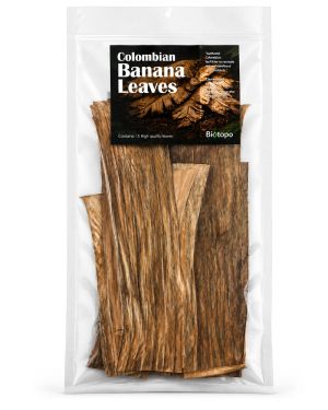 Colombian banana leaves