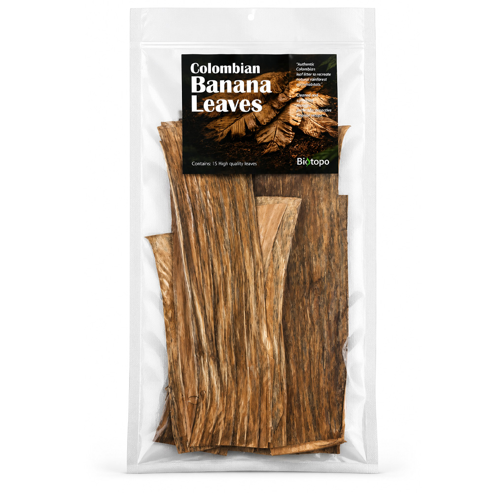 Colombian banana leaves 3