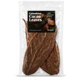Colombian cacao leaves 3