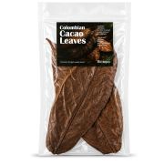 Colombian cacao leaves 3