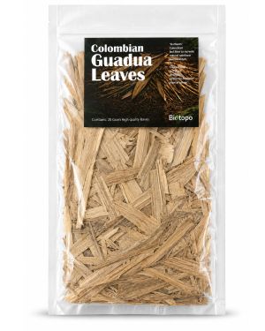 Colombian guadua leaves