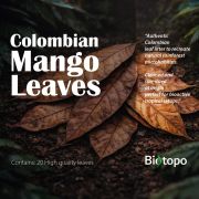 Colombian mango leaves