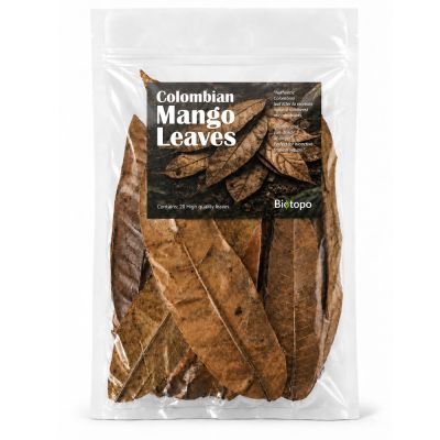 Colombian mango leaves