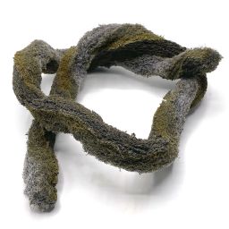 Epi-Web Lianas