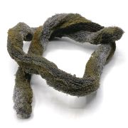 Epi-Web Lianas