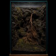 Moss mix 5