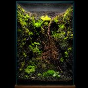 Moss mix 7