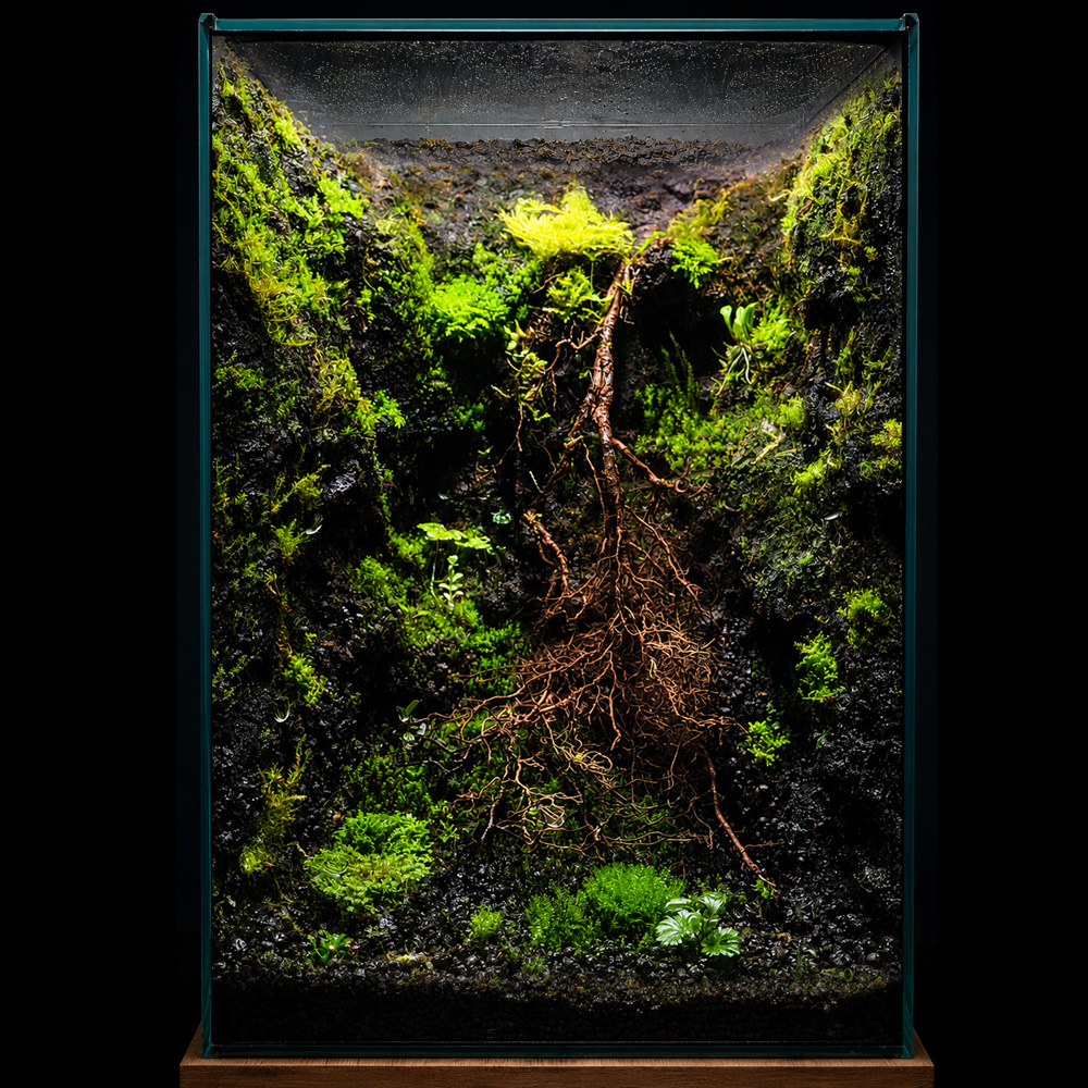 Moss mix 7