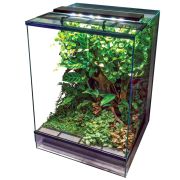 PR2.Q terrarium