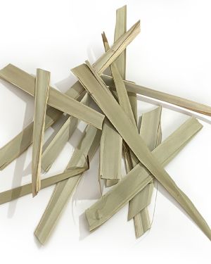 Tropical Palm Leaf Sawn