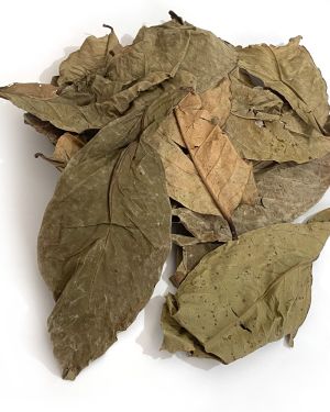 Pommerac tropical leaves