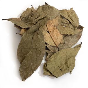 Pommerac tropical leaves