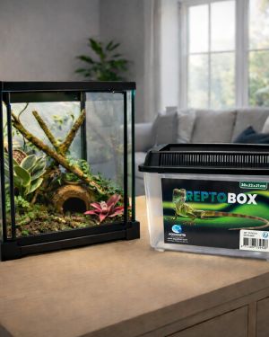 Repto Box