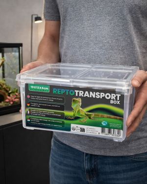 Repto Transport Box