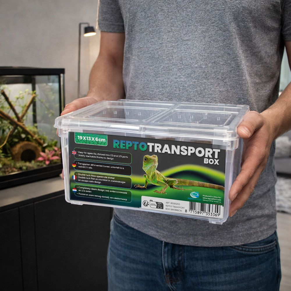 Repto Transport Box 5