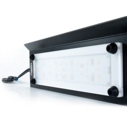 Terrarium lamps