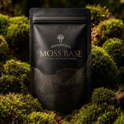 ShroomRoom MossBase