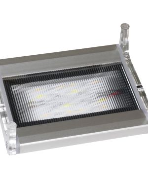 Skylight Tiny 2