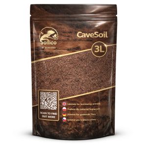 Soilico CaveSoil
