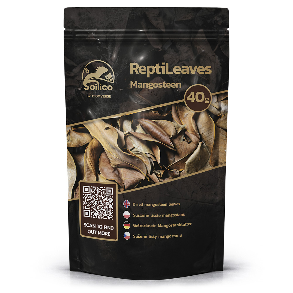 Soilico ReptiLeaves Mangosteen