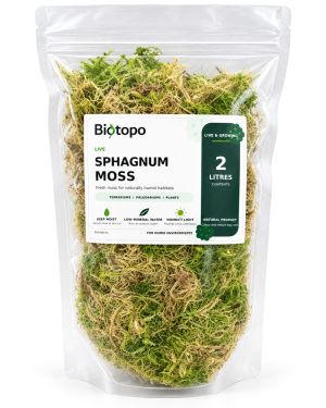 Sphagnum moss