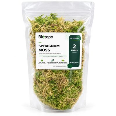 Sphagnum moss