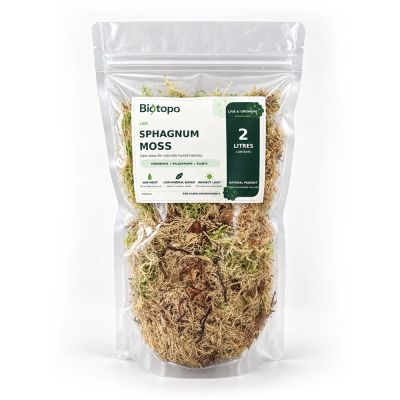 Sphagnum moss