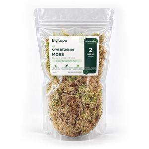 Sphagnum moss