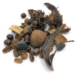 Terrarium bedding package Large