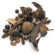 Terrarium bedding package Large