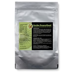 Gecko Powerfood Kiwi