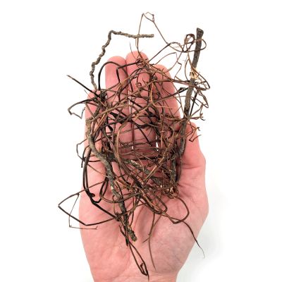 WIO Mini Root