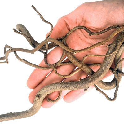 WIO Twisted Root