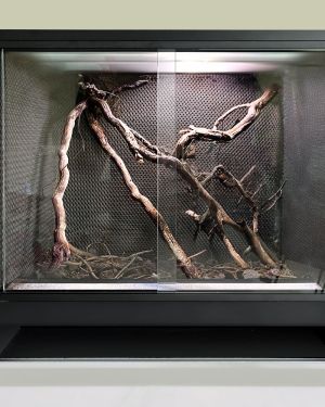Mini Ecosystem Bioactive