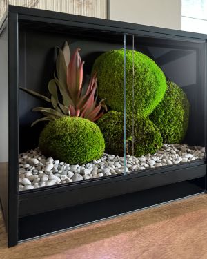 Mini Ecosystem Bioactive