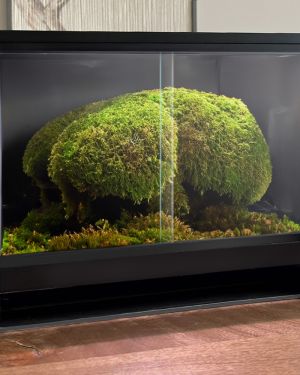 Mini Ecosystem Canopy