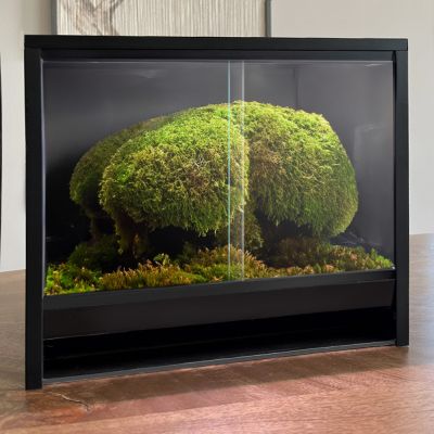 Mini Ecosystem Canopy