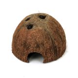 Half coconut