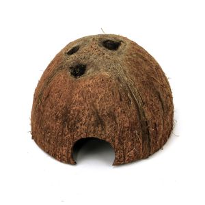 Half coconut