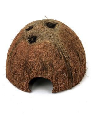 Half coconut